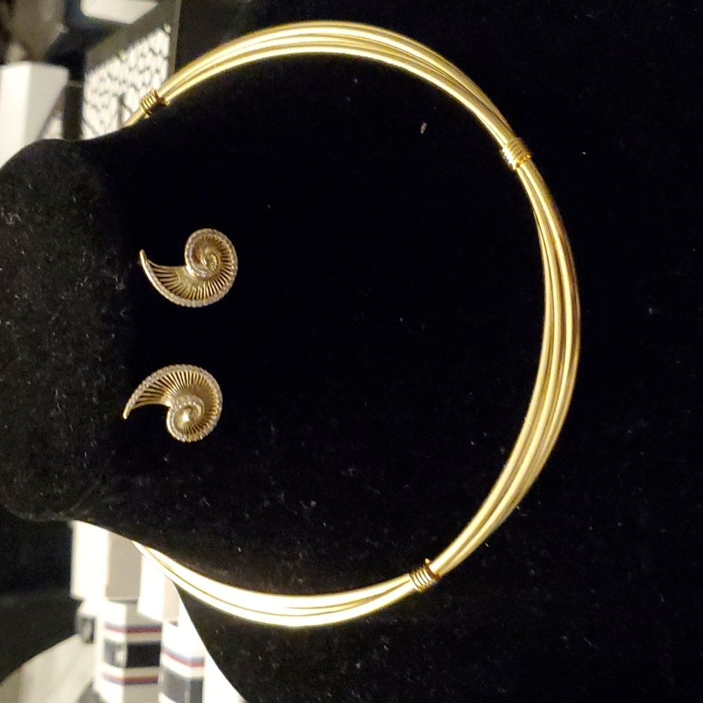 Cord and earing